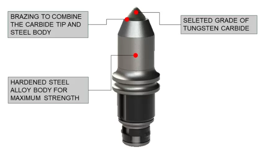 Main Components of a Bullet Tooth